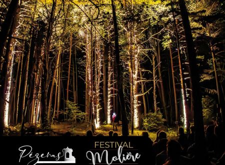 Festival Molière : Croire Aux Fauves 