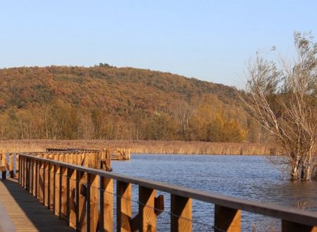 Balade - Voyage sonore Etang de La Capelle 