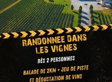 Randonnée dans les vignes 