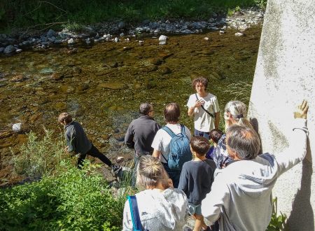 Randonnée Ornithologique en Forêt de l'Aigoual 