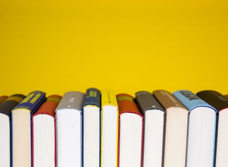 Foire aux livres 