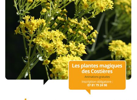 Terroirs vagabonds - Garons et Générac 