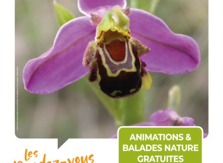 Rendez-vous Nature - Animations et balades Nature gratuites à Nîmes 