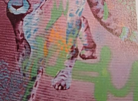Exposition : Charline Champel 