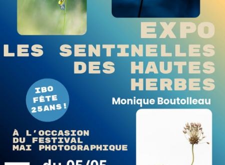 Exposition « Sentinelles des hautes herbes » 