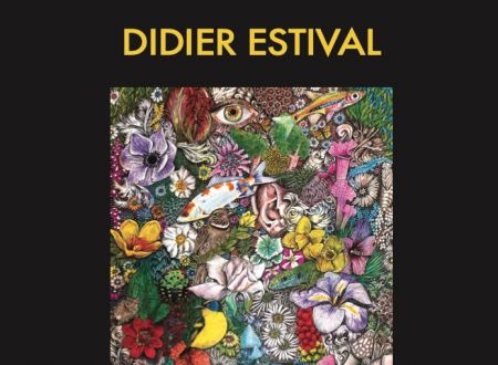 Exposition - Didier Estival 