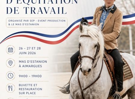 Championnat de France d'équitation de travail 