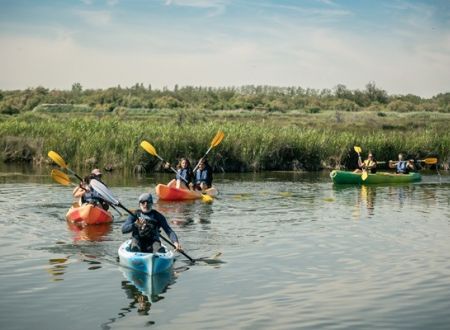 Canoë nature et chasse au trésor 