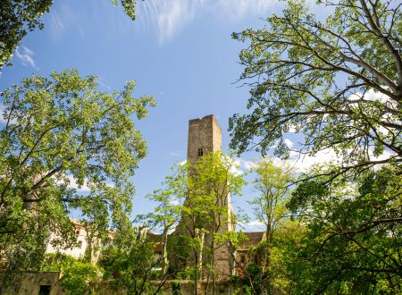 Visite guidée Roquemaure et le Rhône 