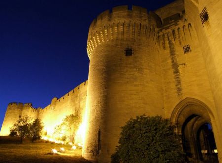 Visite au clair de lune du Fort Saint-André 