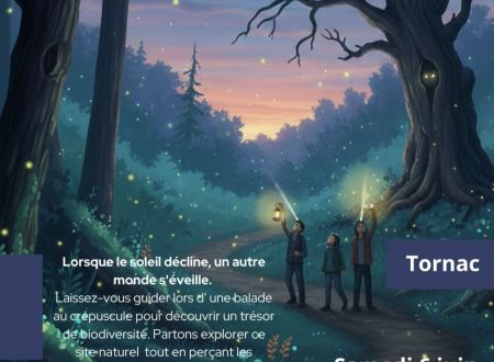 A la nuit tombée la nature révèle ses secrets 