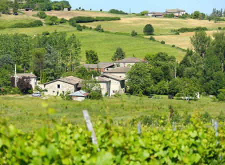 Domaine de Laubal 