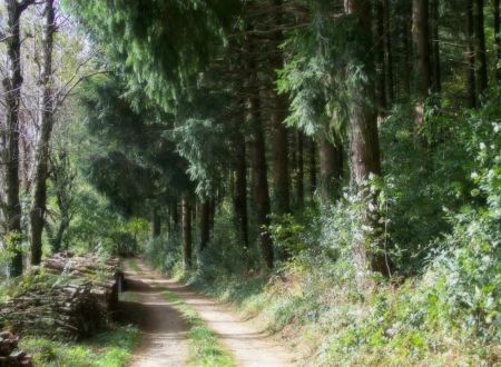 La Bouriette du Bout du Pont 