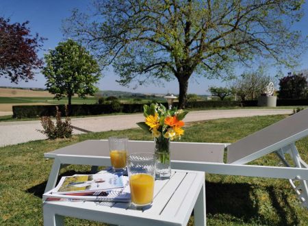 Domaine de Vizols*** 