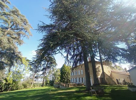 Chambres d'hôtes Le Jardin des Cèdres © 