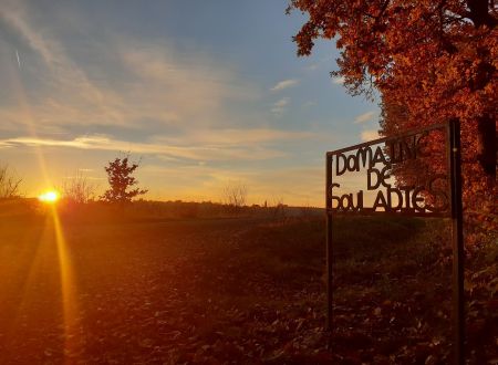 Domaine de Souladies 