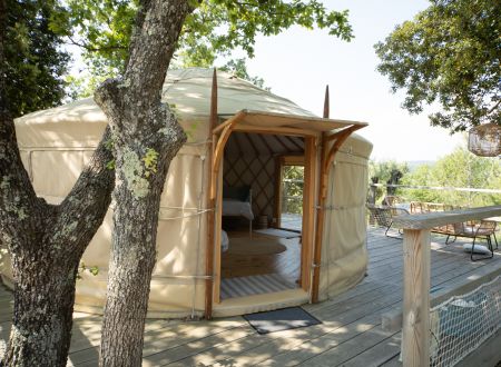 Les Yourtes de Provence : Darwin 