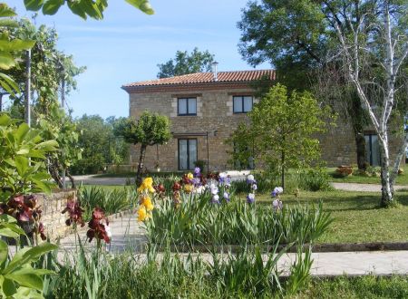 Chambre d'hôtes Lou Papagai 