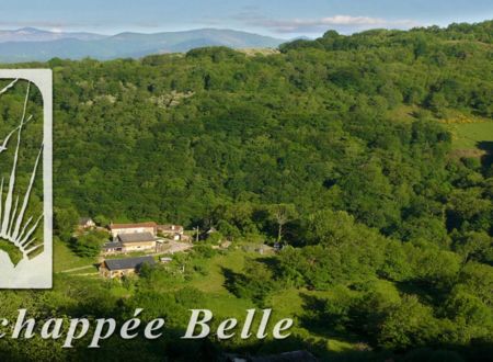 Chambre d'hôtes L'Échappée Belle 