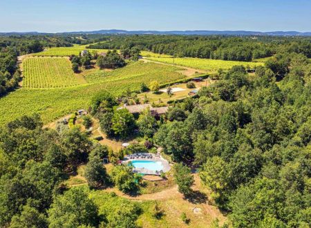 Le Chêne attentionné 