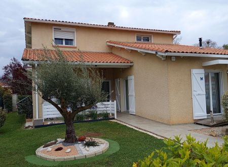 Chambre d'Hôtes l'Olivier 