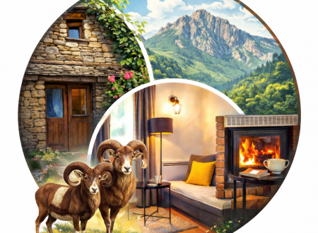 Le Gîte du Caroux 