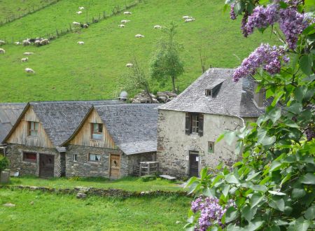Gîte La Grange d'Arlette 