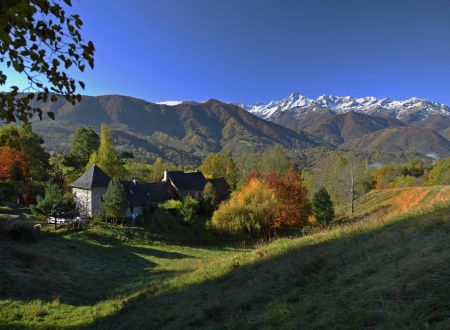 Gîte Le Chèvrefeuille 