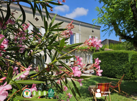 La surprise des Jumelles 