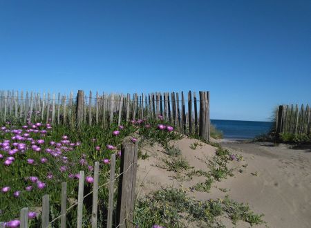 Appartement Le Méditerranée - Front de mer 