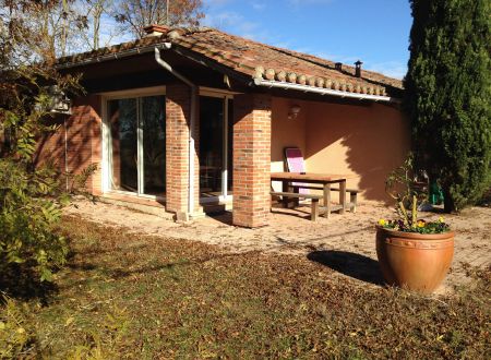 Le Fiouzaire - Les Oliviers 