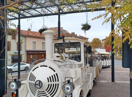 Petit Train - Navette 