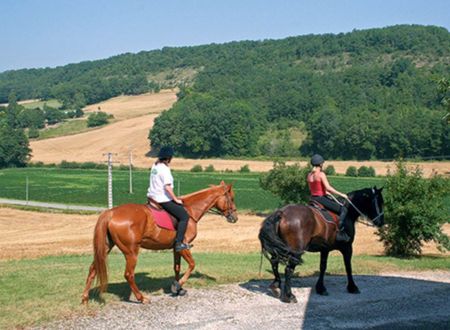 Equestrian farm 