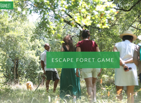 Escape Foret Game 