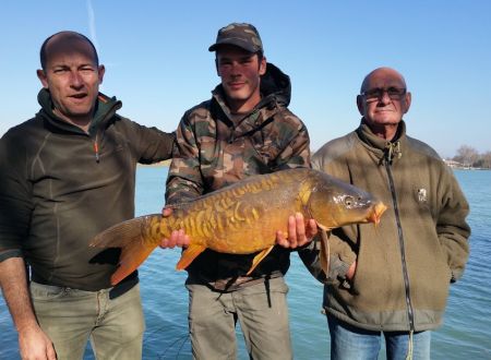 Pêche en lacs et en rivière 