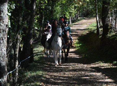Ferme équestre de la Grésigne 