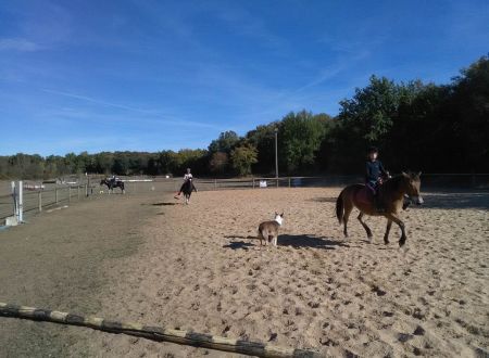 Centre Équestre les Ecuries du Banassou 