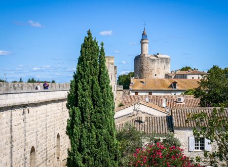 Aigues Mortes : la Cité Médiévale 