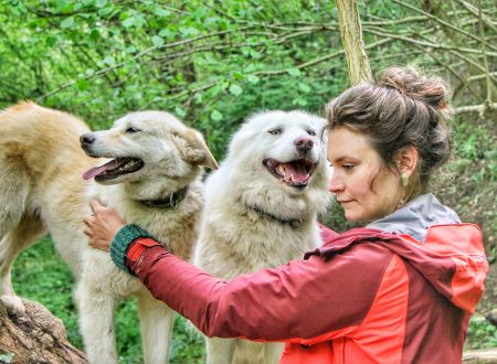 Ferme Nordique de Terre Sauvage 