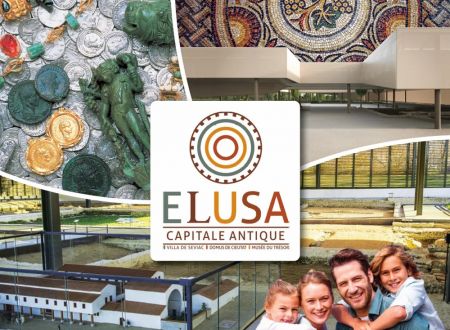 Elusa Capitale Antique 