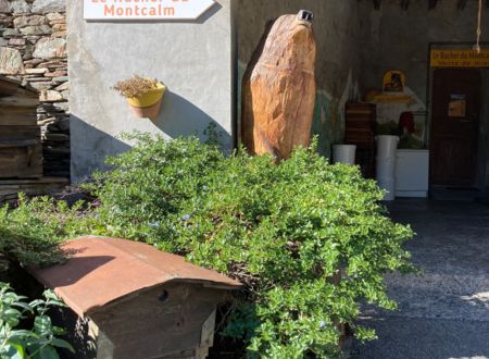 Eco-musée du rucher du Montcalm 