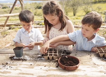 Nouveauté : l'expérience à la ferme Vie au jardin 