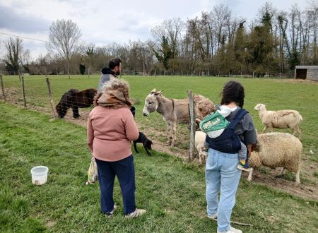 Ferme de découverte Denola 