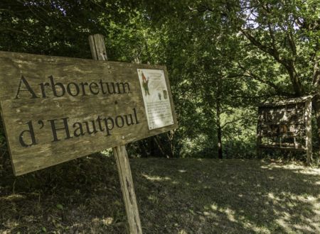 Arboretum of the House of wood and toy 