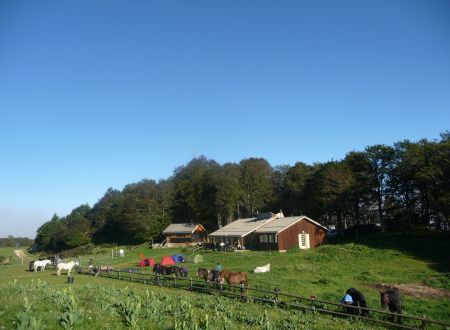 Restaurant Le Refuge du Chioula 