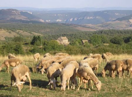 Ferme de la Blaquière 