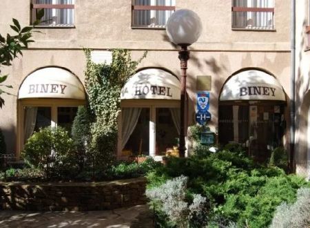 HOTEL BINEY 