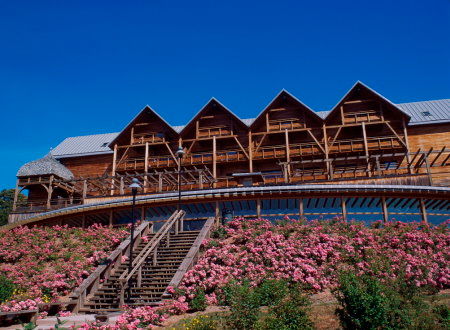 Résidence de Tourisme Les Logis des Boisements 