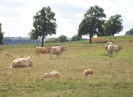 La Ferme de Tessi 