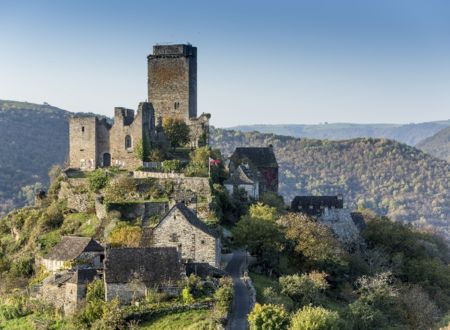 Château de Valon : Visite guidée 